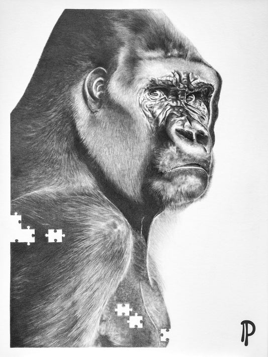 Dessin animalier noir et blanc par Pierre Paris (2019), réalisé au crayon, avec des pièces de puzzle manquantes évoquant la disparition progressive des espèces