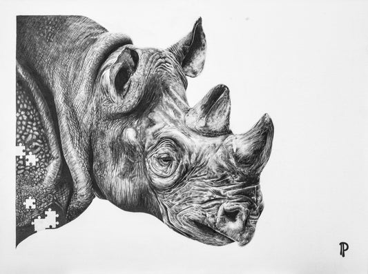 Dessin animalier de Pierre Paris (2018), en noir et blanc, explorant la tension entre beauté sauvage et menace d’extinction